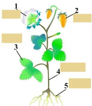 030010yq-c6e5-310x358.jpg