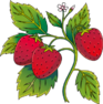 030011d2-9bd1-93x94.png