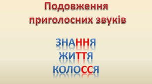 Тренувальна вправа. Подвоєння букв на позначення подовжених приголосних.