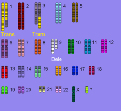 030011u6-fe39-310x284.png