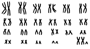 0300124m-6440-303x166.png