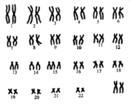 03001261-a281-188x151.png