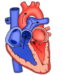 030013js-6723-128x156.png