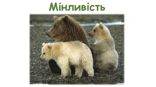 Мінливість. Модифікаційна мінливість