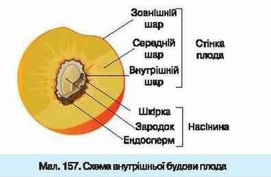 030016qk-767b-396x258.jpg