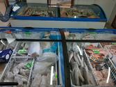 У Старокостянтинові відкрили перший рибний магазин: понад 30 видів мороженої риби та морепродуктів | Старкон.City