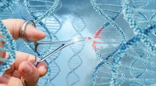Біотехнології. Генна та клітинна інженерія.