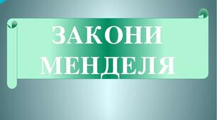 Закони Менделя, їх генетичні основи.
