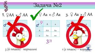 П.р.№3. Складання схем моно- та дигібридного схрещування