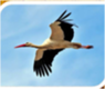 03001erq-4cc7-123x103.png