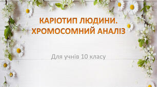 Каріотип людини 