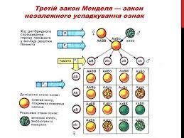 03001f89-efe4-259x194.jpg