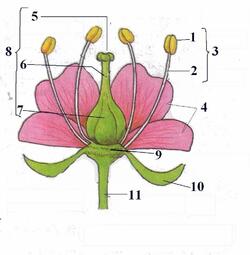 03001j1l-61cc-250x255.jpg