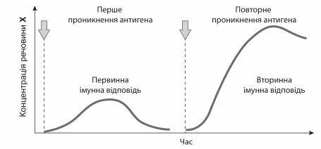 03001kf4-8065-455x212.jpg