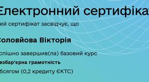 Підвищення кваліфікації. Безбар'єрна грамотність.