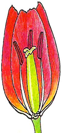 03001wfw-83b9-201x429.png