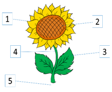 03001wom-3edb-230x189.png
