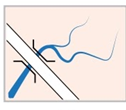 03001wzs-f843-126x110.png