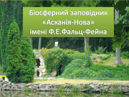 03001yo9-f716-439x330.png