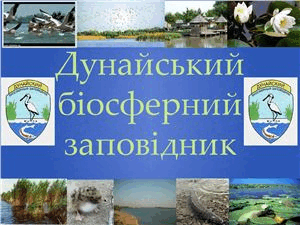 03001yww-4de7-300x225.png