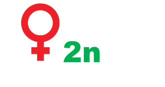 03001zjs-0840-333x175.png