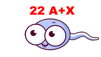 03001zo3-f919-329x188.png