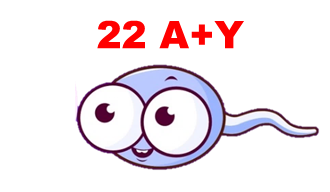 03001zoe-4093-330x192.png