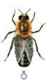 0300201r-0523-616x1036.png