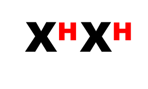 0300206x-ba7f-298x179.png