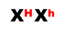 03002075-bcc6-293x178.png