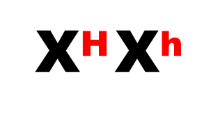 03002075-bcc6-293x178.png