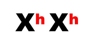 0300207f-ad69-289x179.png