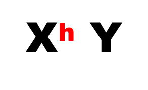 0300207t-ecad-293x179.png