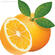 030021nl-ee1f-55x55.jpg