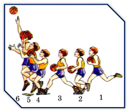 030023pu-bb26-544x471.png