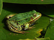 0300256v-5079-182x136.jpg
