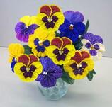030029bd-586d-158x151.jpg