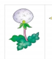 03002c8l-27af-180x202.png