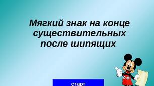 Буква Ь на конце существительных после ж, ч, ш, щ.