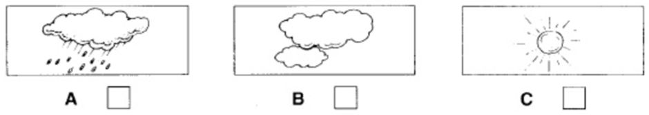 03002fx1-0ec0-940x168.png