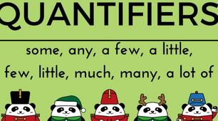Much/many/a lot of; some/any/a/an.