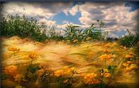 03002p6v-0dfb-197x124.jpg