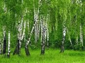 03002q8n-1387-174x130.jpg