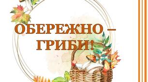 Варіант розтяжки «Обережно- гриби!»