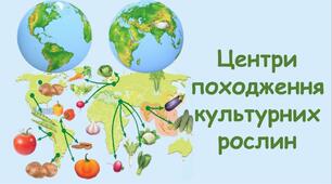 Центри різноманітності та походження культурних рослин