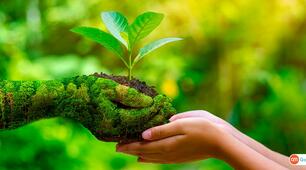 (Копія)  Environment. / Test / Reading / Listening /