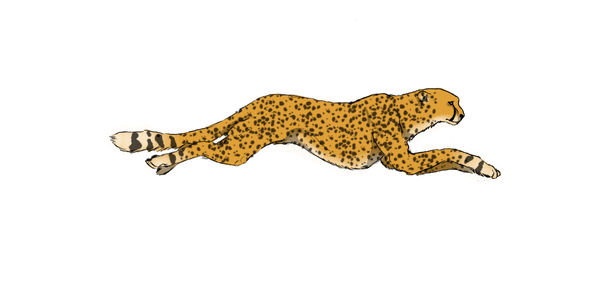 03002vmf-476b-594x304.gif