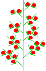 03002w4p-51ab-156x241.png