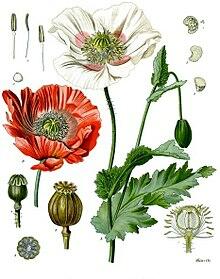 03002w94-48a3-220x279.jpg