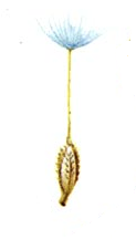 03002xtw-b8cc-123x217.png